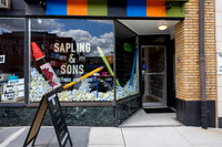 Sapling and Sons 250822 011_Simpson