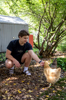 Jones Chickens 250507 004_Simpson