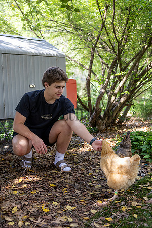 Jones Chickens 250507 004_Simpson