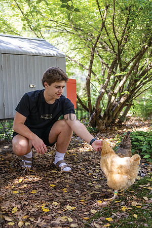 Jones Chickens 250507 004_Simpson_CMYK