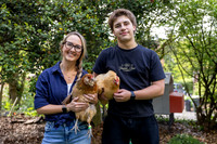 Jones Chickens 250507 005_Simpson