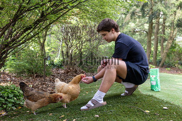 Jones Chickens 250507 001_Simpson