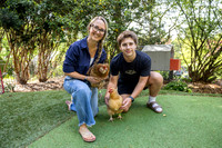 Jones Chickens 250507 010_Simpson