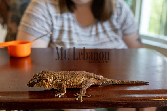 Rutledge Pets 250514 1689_Simpson