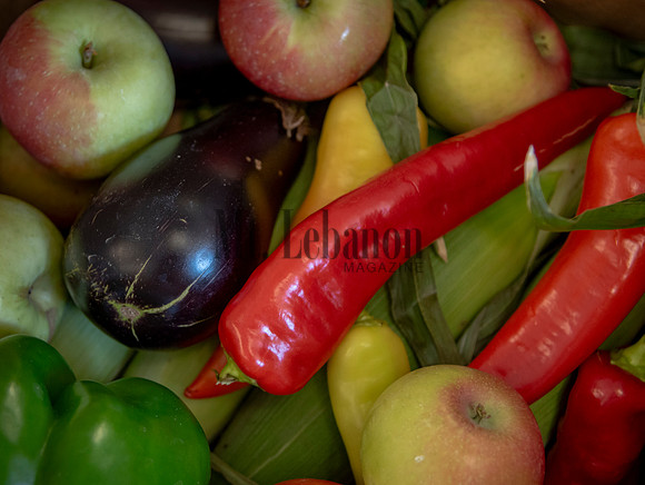 CSA Pick Up Morgan Sulik 250827 002_Schisler