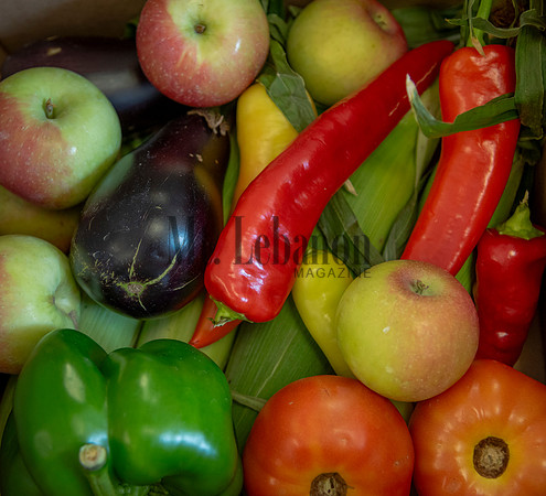 CSA Pick Up Morgan Sulik 250827 001_Schisler