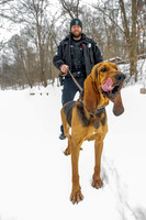 MTLPD K9 Police Dog Bear 260128 003