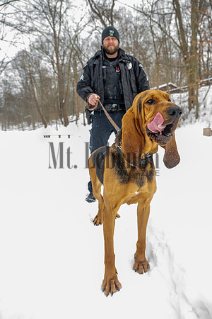 MTLPD K9 Police Dog Bear 260128 003
