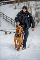 MTLPD K9 Police Dog Bear 260128 004