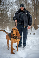 MTLPD K9 Police Dog Bear 260128 008