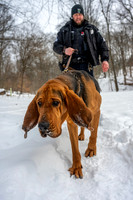 MTLPD K9 Police Dog Bear 260128 012