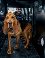 MTLPD K9 Police Dog Bear 260128 014