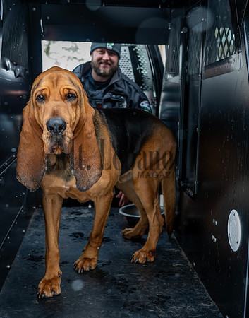 MTLPD K9 Police Dog Bear 260128 014
