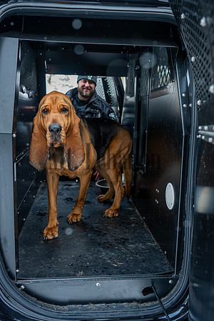 MTLPD K9 Police Dog Bear 260128 013