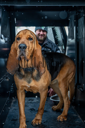 MTLPD K9 Police Dog Bear 260128 017