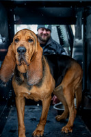 MTLPD K9 Police Dog Bear 260128 016