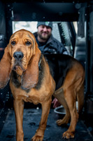 MTLPD K9 Police Dog Bear 260128 015