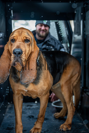 MTLPD K9 Police Dog Bear 260128 015
