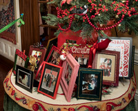 Splendor Holiday House tour 2016