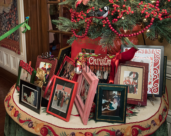 Splendor Holiday House tour 2016