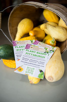 Plant Based PGH South 260720 009