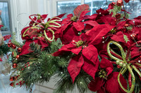 Splendor Holiday House tour 2016