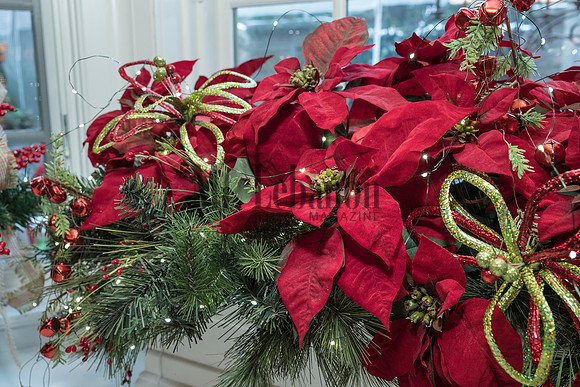Splendor Holiday House tour 2016