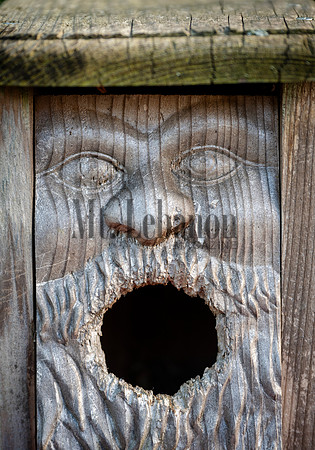 Acheson Yard Art 260602 010_Schisler