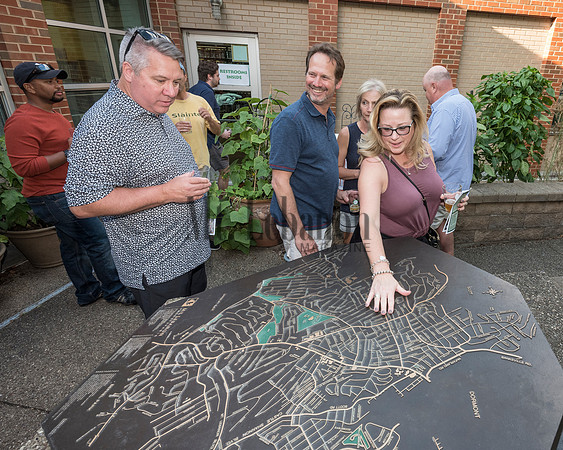 Mt. Lebanon LIbrary Beer Garden Bash 2019