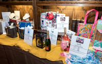 St. Clair Summer Swing 2019