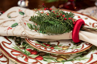 Splendor Holiday House tour 2016