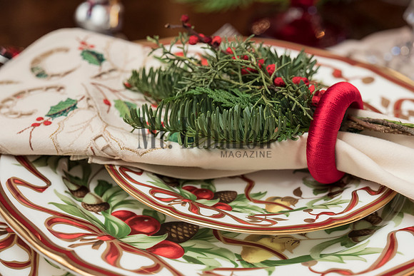 Splendor Holiday House tour 2016