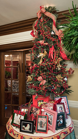 Splendor Holiday House tour 2016