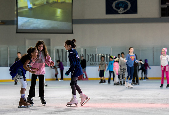 Rec Ice Rink Playdate 2017