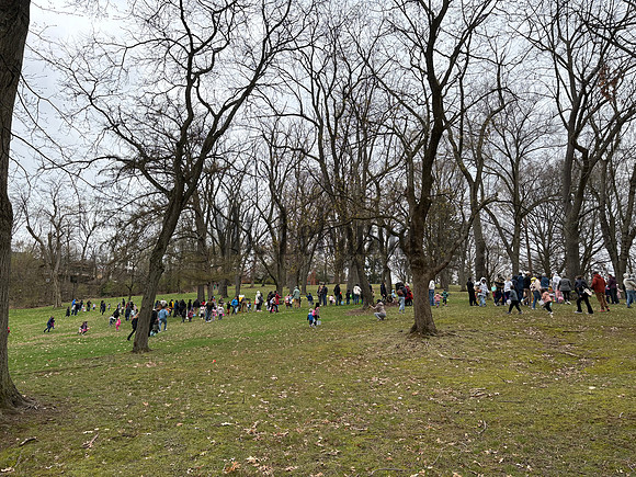 Egg Hunt 250412 4564_Windsor