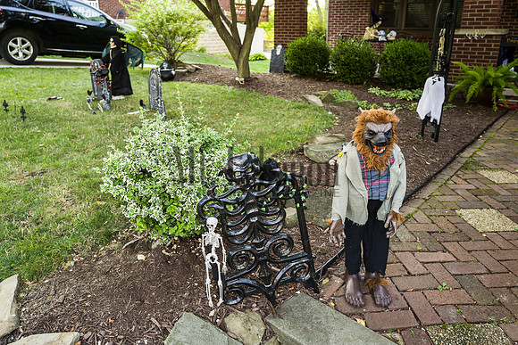 Halloween House 2019