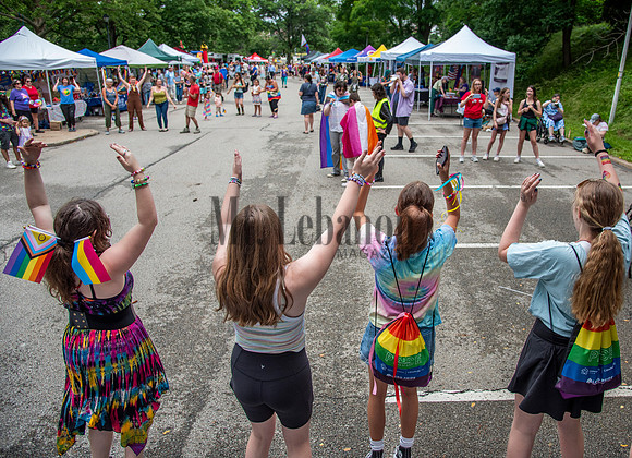 Lebo Pride 250614 019_Schisler