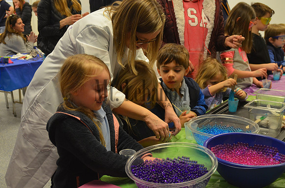 St. Bernard's Science Fair 2017