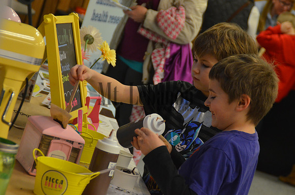 St. Bernard's Science Fair 2017