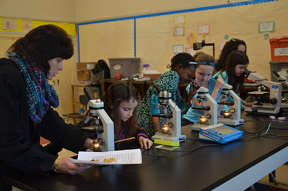 St. Bernard's Science Fair 2017
