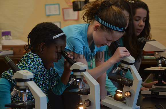 St. Bernard's Science Fair 2017