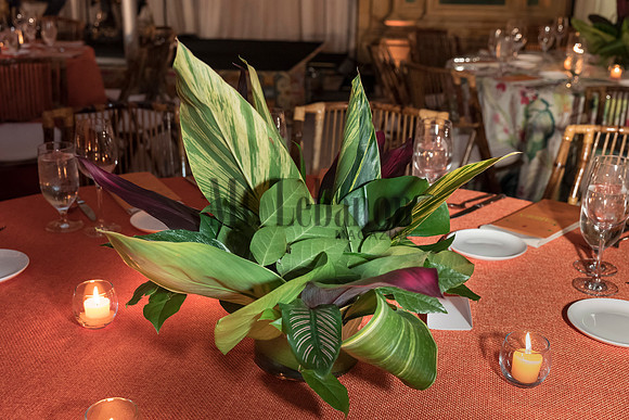 Pittsburgh Botanic Garden to Table Gala 2018